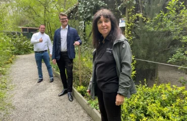 Spende Kiefer Vogelpark